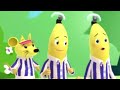 Rat the Banana - Animated Episode - Bananas in Pyjamas Official