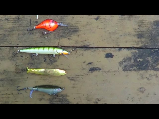 Fishing Lures: Exploring the Different Types