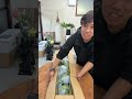 ライブ ハイライト