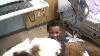 Toby the Therapy Dog visits Mary Bridge