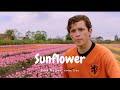 Sunflower tom holland spiderman far from home