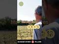 葡萄酒莊介紹 - 法國朗格多克胡西雍 Mas des Cabres  #葡萄酒 #vineum酒宅 #wine