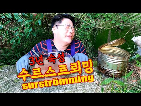 최강스멜ㅠㅠ 맛상무 <strong>수르스트뢰밍</strong> 완결편