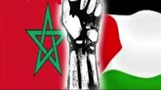 #أقوال حول فلسطين