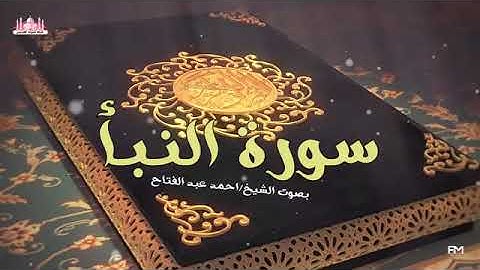 سورة النبأ / أحمد عبد الفتاح