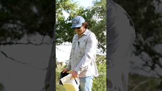 Imported Fire Ant Treatment is one of Plateau's most requested services.