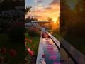 The Dream Garden Home 🏡🌹 #shortvideo #trending #ytshorts #garden #roses