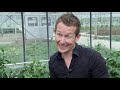 Peperoni im Test: Mit jeder Zweiten essen wir Pestizide | 2019 | Kassensturz | SRF