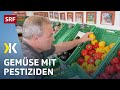 Peperoni im Test: Mit jeder Zweiten essen wir Pestizide | 2019 | Kassensturz | SRF