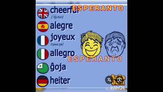 Esperanto 🟩🌹🟩