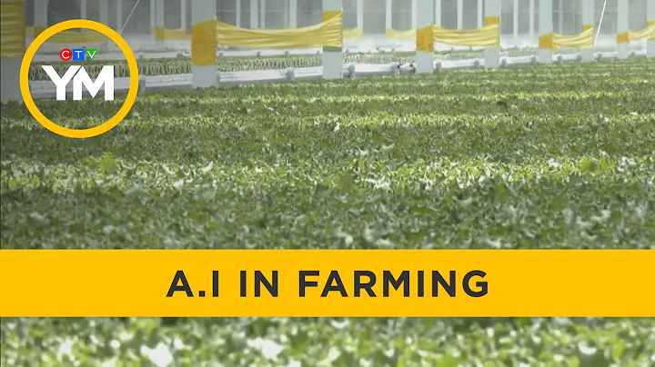 How A.I. is Being Used in Farming | Your Morning