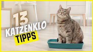 13 Super Hilfreiche Tipps fürs Katzenklo!