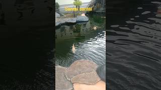 Download Lagu pepeling kehidupan MP3