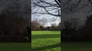 Dove release at funeral #whitedove