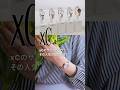 【シチズン社員が「サクラピンク®」人気の秘密を語る！】誕生から10年愛され続ける「サクラピンク®」の魅力をご紹介！｜腕時計 レディス｜シチズン時計