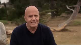 El Cambio  Wayne Dyer The Shift 🎬 Película Completa