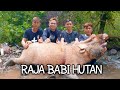 BERBURU BABI HUTAN || SUNGAI PURA