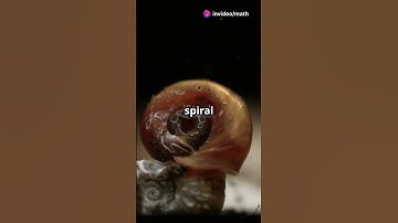 The Invisible Threads of Life: Nature’s Symmetry 🌌🔗