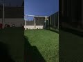 Only took 100 tries 🤣 | #football #score #makethisgoviral #edit #trick #fyp