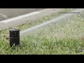 Central Iowa residents, businesses asked to reduce lawn watering