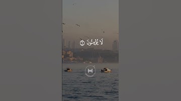 ماهر المعيقلي - سورة البقرة