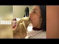 Best Pet Instagram Compilation #18 || 2017