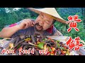 【Shyo video】200元買5斤黃鱔，放油鍋裡炸完再爆炒，好吃到骨頭都不放過！