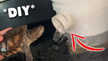 *DIY* TURTLE FILTER!