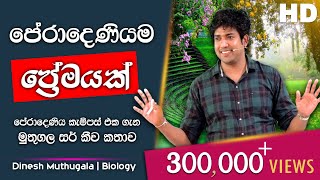 පේරාදෙණියම ප්‍රේමයක් | Dinesh Muthugala | පේරාදෙණිය කැම්පස් එක ගැන මුතුගල සර් කීව කතාව