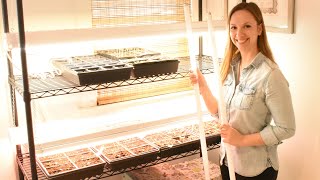 AFFORDABLE Grow Lights That WORK Sharing buying installing shop lights Northlawn Flower Farm