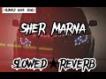 Sher marna | slowed and reverb | SLOWED HAVE SONG | New TikTok viral song SLOWED