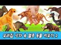 한국어ㅣ우리집 상자 속 멸종된 동물 키우기! 신생대 동물 이름 외우기, 멸종동물 특집, 컬렉타ㅣ꼬꼬스토이