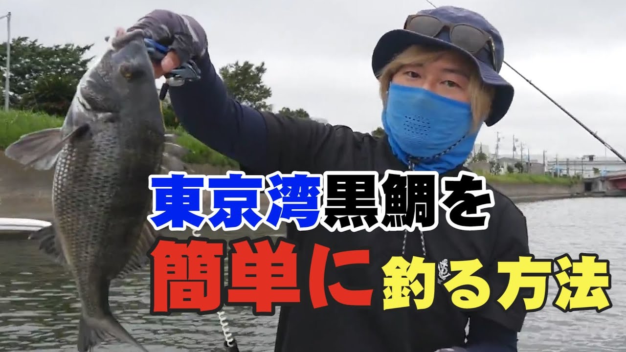 Tokyo Baygogo 東京湾で黒鯛 チヌ を簡単に楽しく釣る方法 フリーリグ チニング 後編 Youtube