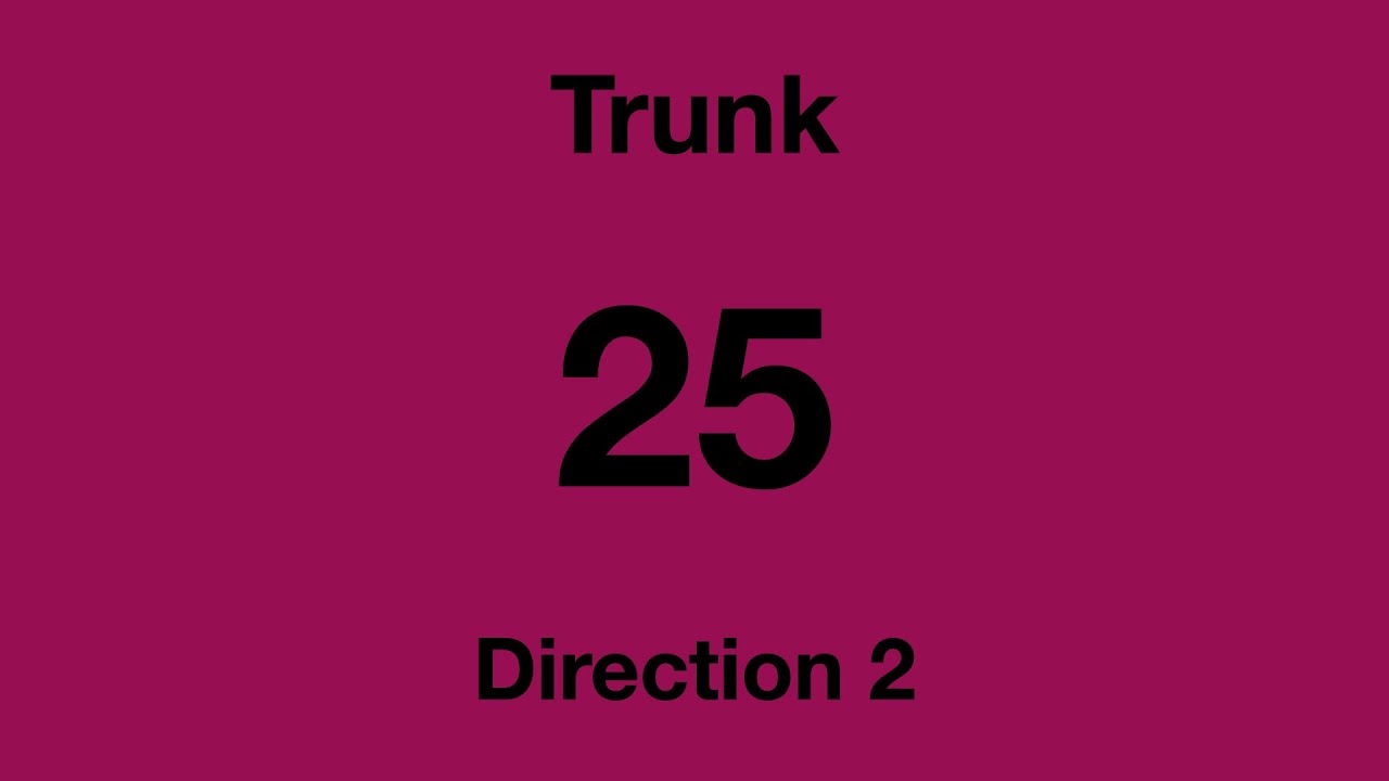 [SBS Transit] Trunk Bus Service 25 - Direction 2 Hyperlapse