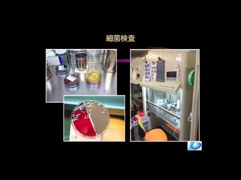 高知大学医学部附属病院検査部・輸血部キャリアパス説明