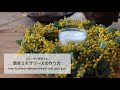 グルーガンを使った簡単ミモザリースの作り方 How to make Mimosa wreath with glue gun