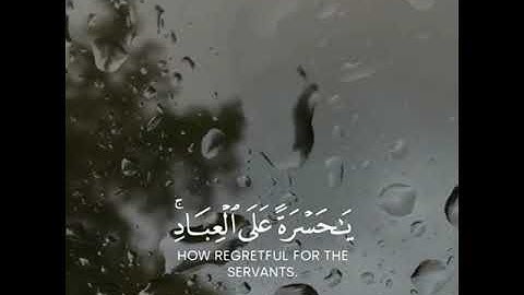 (5) اَلَمْ تَرَ كَيْفَ فَعَلَ رَبُّكَ بِعَادٍ (6) اِرَمَ ذَاتِ اِ۬لْعِمَادِ (7)سورة الفجر(2)