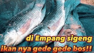 Download Lagu spot baru di muara blacan bekasih MP3