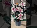 Lego Botanical Collection - Orchid, Set Number 10311.