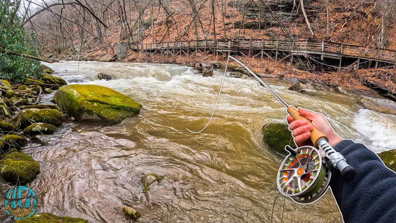 Streamer Fishing High Water for Brown Trout! (Fly Fishing Tips) 