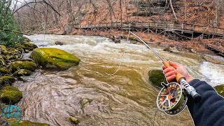 Streamer Fishing High Water for Brown Trout! (Fly Fishing Tips)