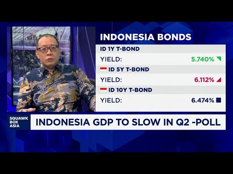 Indonesia stocks at risk from domestic economic performance, US bond moves: Expert Episode cover