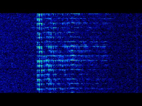 Stalingrad Clock 6911khz LIVE 