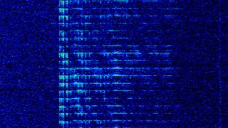 Stalingrad clock (6911khz) LIVE