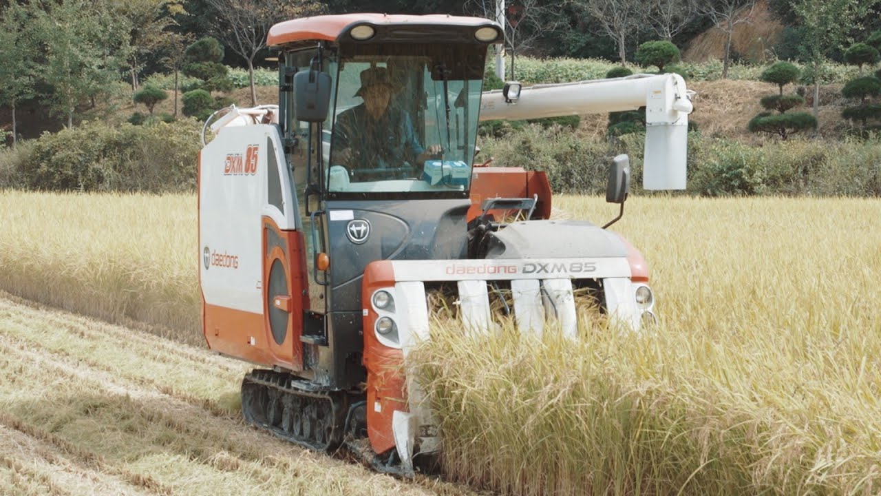 한국인의 주식, 쌀 제조 과정