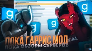 :      |  