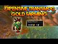 Farm This Goofy Creature Now To Obtain Expensive Transmogs! (WoW Goldmaking)