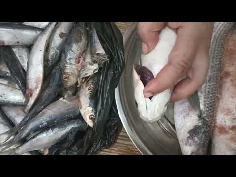 مشتريات اليوم الخامس من سوق جمصه للسمك وطريقة تخليل البوري والسردين