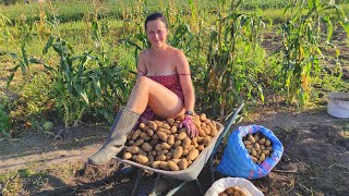 Farm Fresh Bounty: Harvesting and Stocking Up for Winter