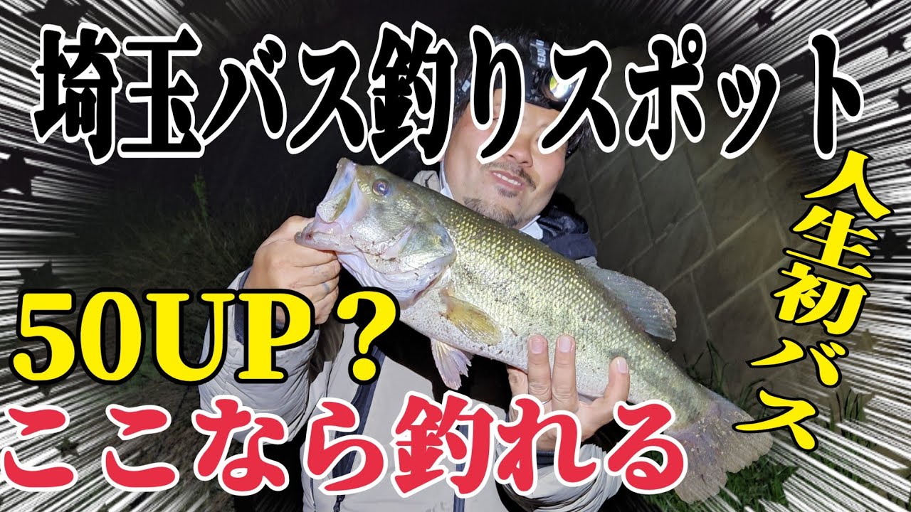 【バス釣り】埼玉バス釣りスポット！春のデカバス狙うならここで決まりだ！シャッドテールで初バスGET